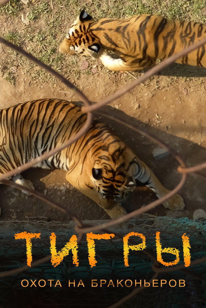 Тигры: Охота на браконьеров (2020)