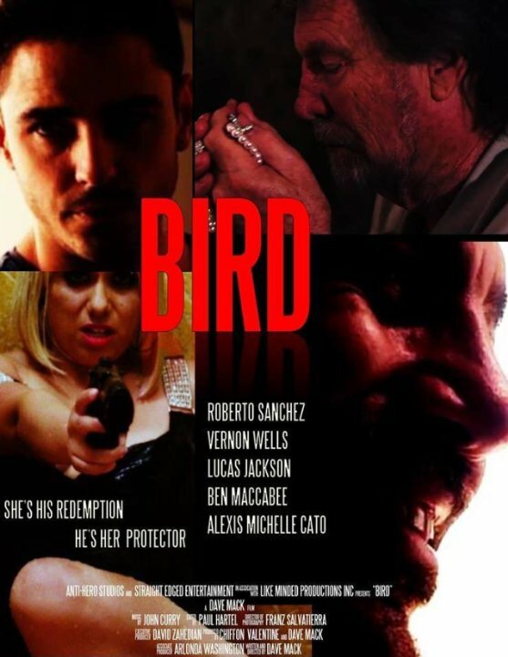 Bird (2020)