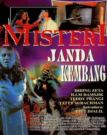 Misteri Janda Kembang (1991)